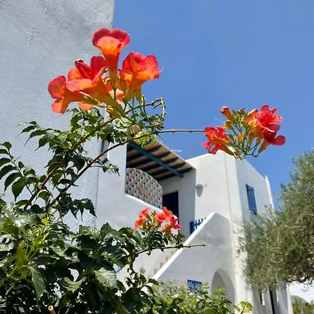 Gelly's Aliki (Paros)